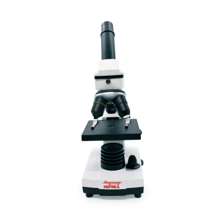 Микроскоп школьный Эврика 40х-1280х с видеоокуляром в кейсе